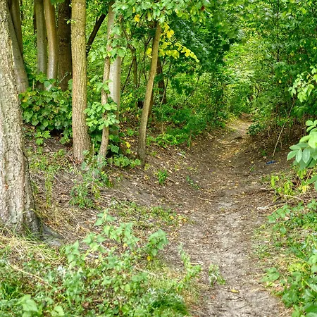 E-stay Noclegi W Bydgoszczy Rum i privatbostad *