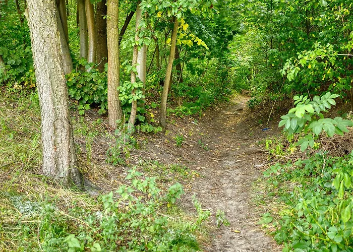 E-stay Noclegi W Bydgoszczy Rum i privatbostad *